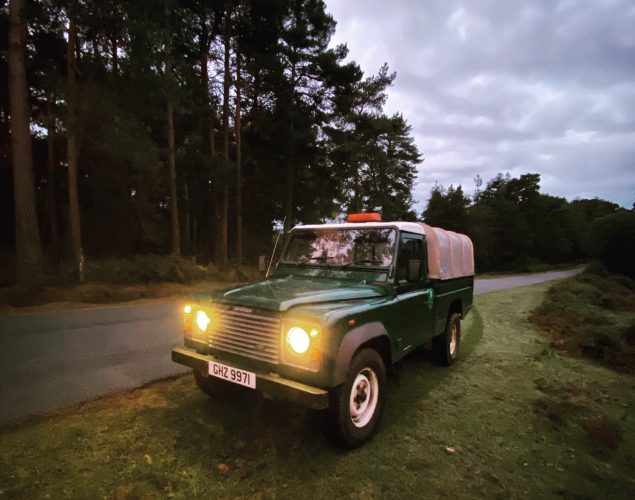 green truck in forest