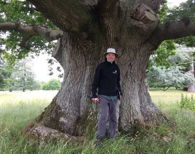 old man standing in front of large tree